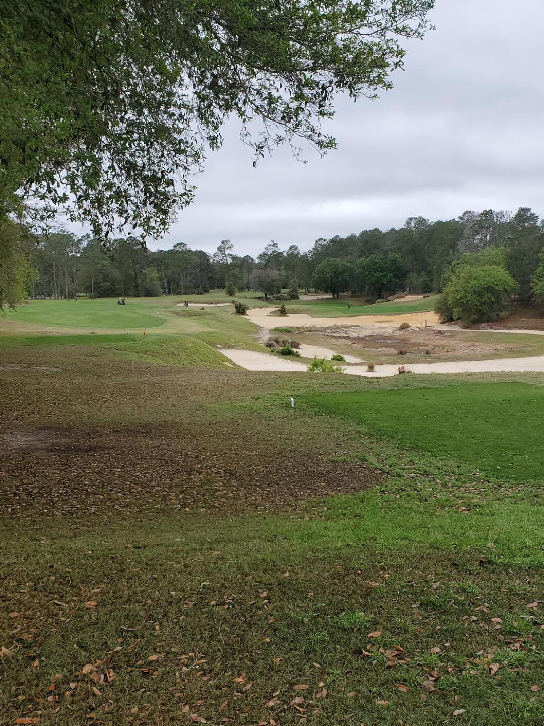 Par 4 15th hole (Photo submitted by dahlryan on 04/01/2021)