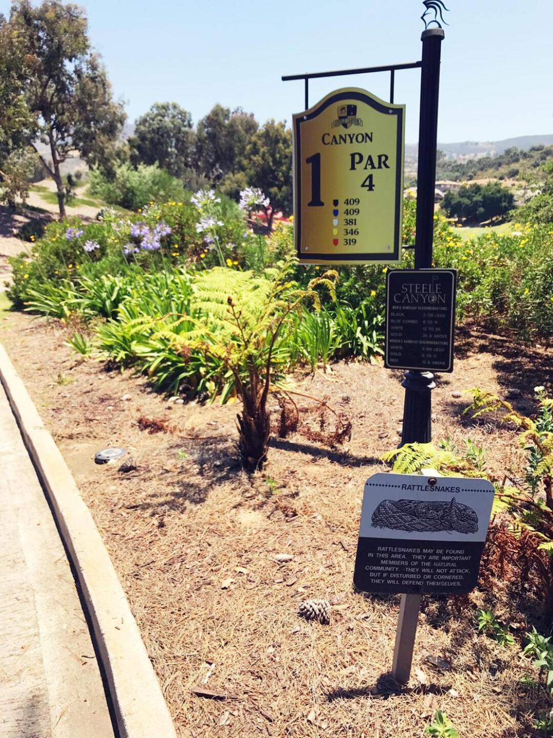 Canyon Hole 1 - beware rattlesnakes (Photo submitted by Kim8800487 on 06/05/2017)