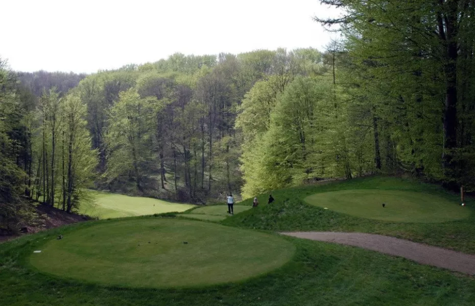 Vejle GC