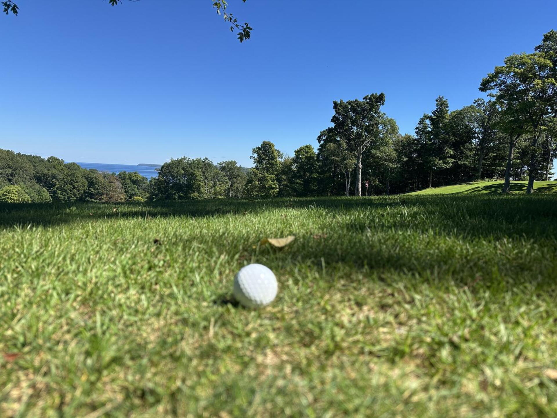 The view from a ball’s position. (Photo submitted by u073960581 on 09/07/2026)