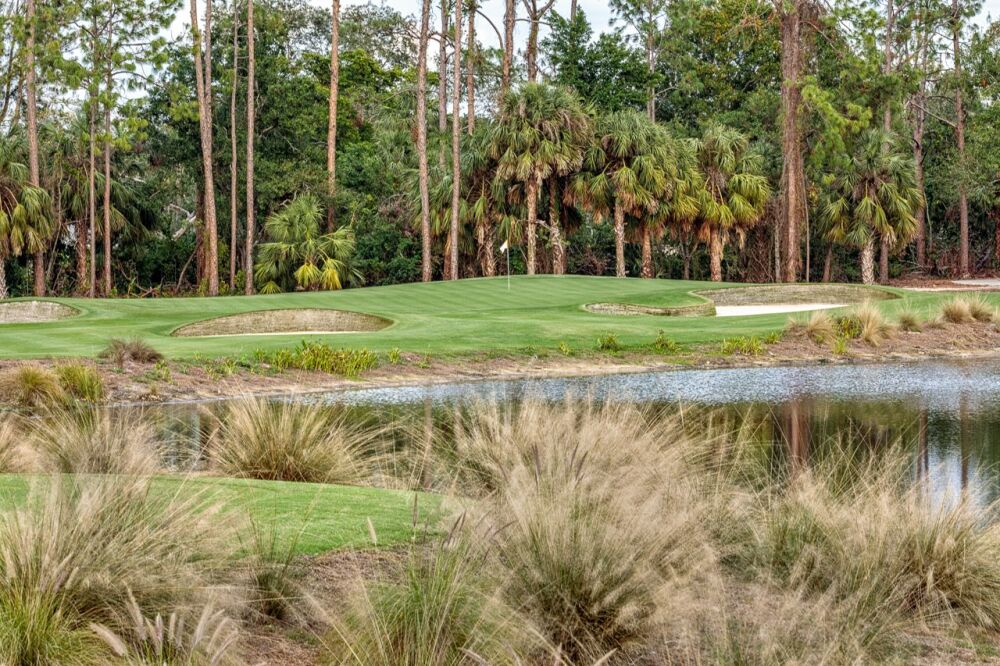 Tiburón GC - Gold: #16