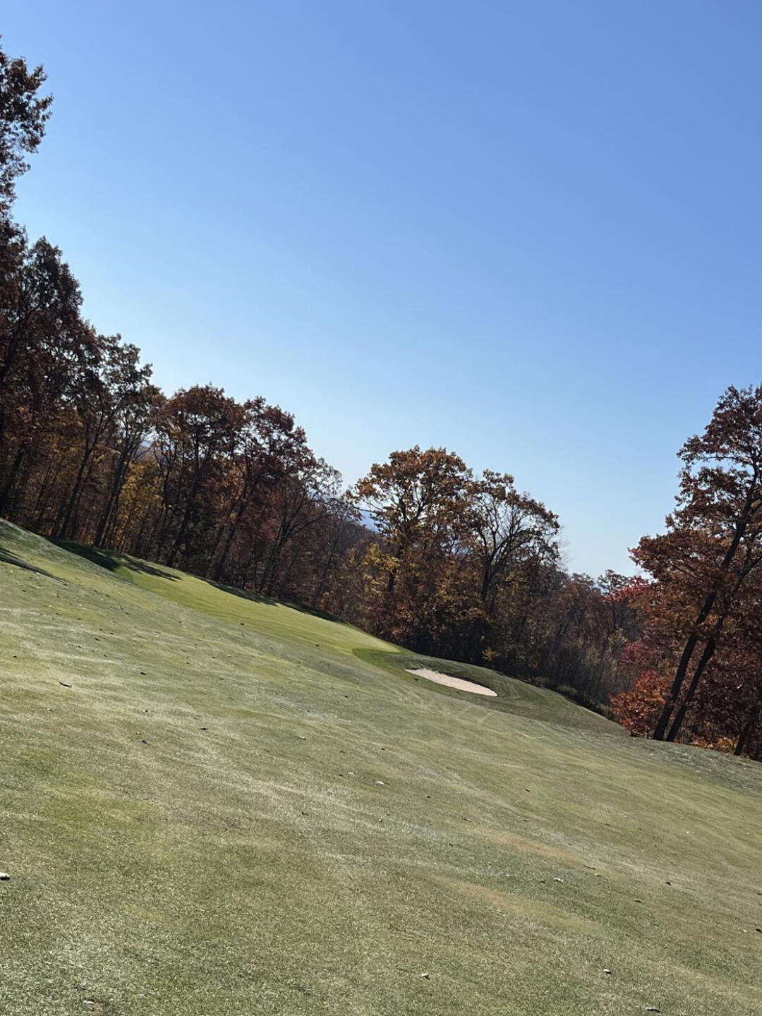 (Photo submitted by JoeyD32 on 10/25/2024)