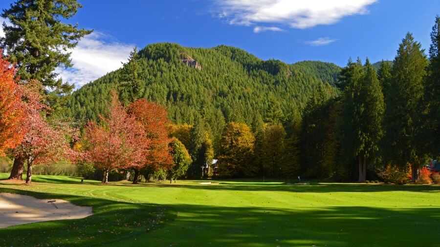 Resort at the Mountain - Pine Cone - no. 2 