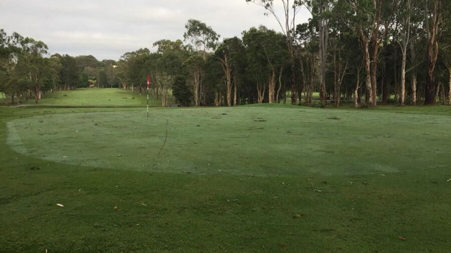 Kew CC