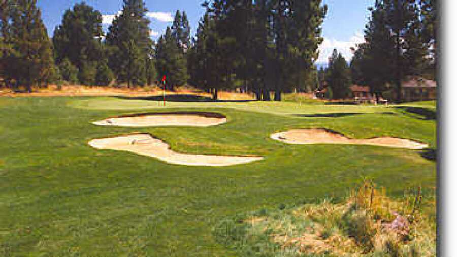 Widgi Creek #5