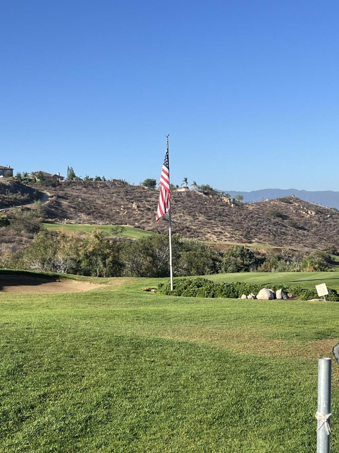 (Photo submitted by Deadflowers55 on 08/04/2025)