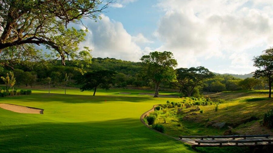 Guacalito GC: #6
