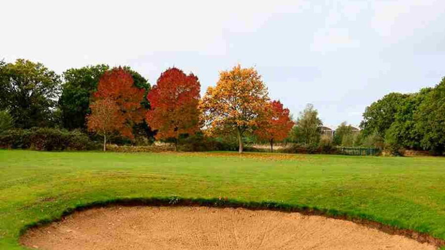 Bunker at David Lloyd Hampton Golf Course