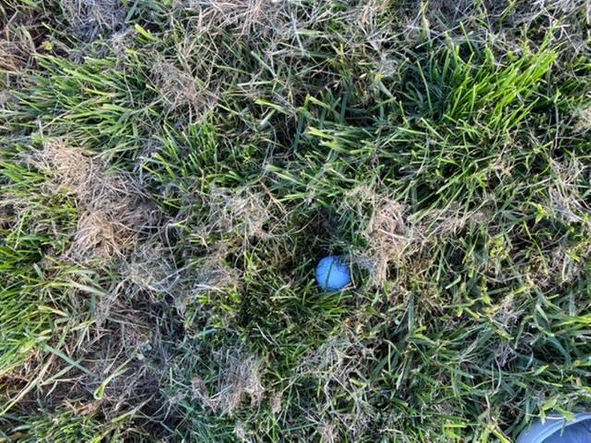 Five feet off fairway near the green bunker (Photo submitted by u583362815 on 05/12/2020)