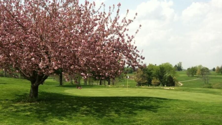Moss Hill GC: #9