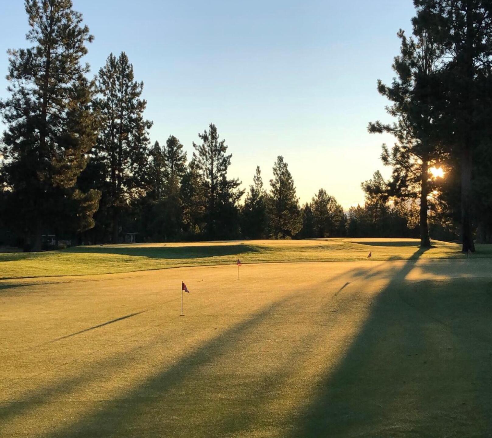 (Photo submitted by 2IZsGL6tTEGur9gNQI4e on 07/24/2019)