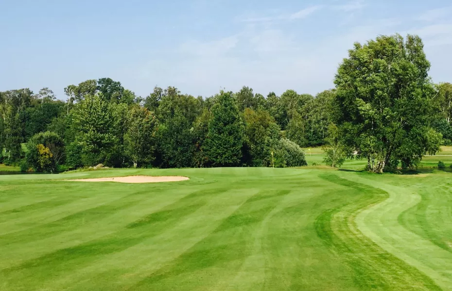 Vinbergs GC - Short: #3