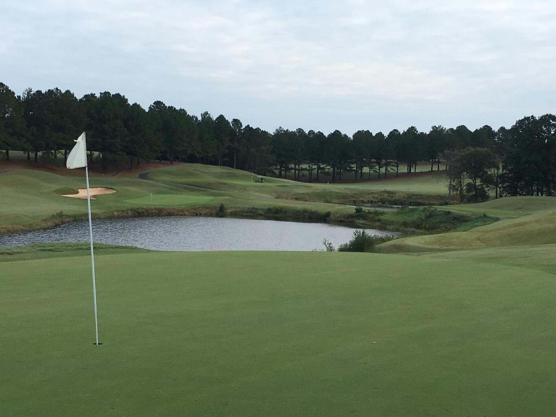 12th green (Photo submitted by goolsby2003 on 10/14/2016)
