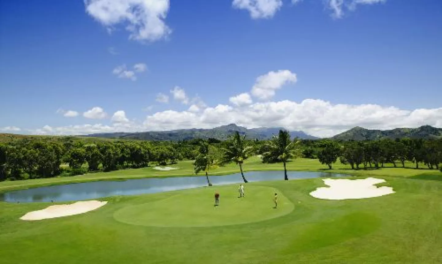 Kiahuna Golf Club - Paspalum Grass