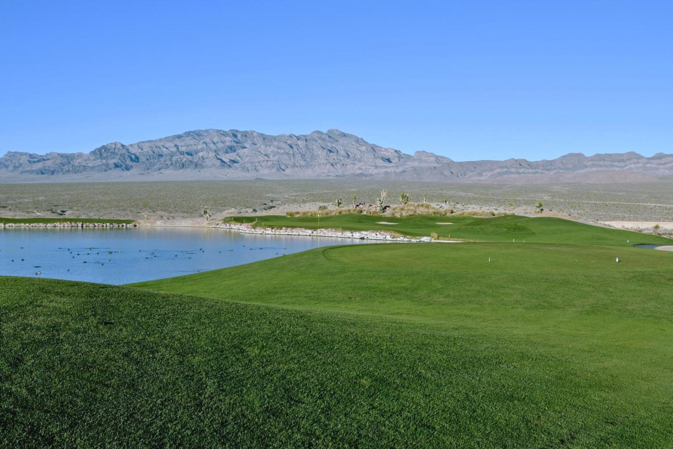 The par-3 sixteenth may wreck a scorecard–or it may bring joy. (Photo submitted by AptlyLinked on 12/18/2025)