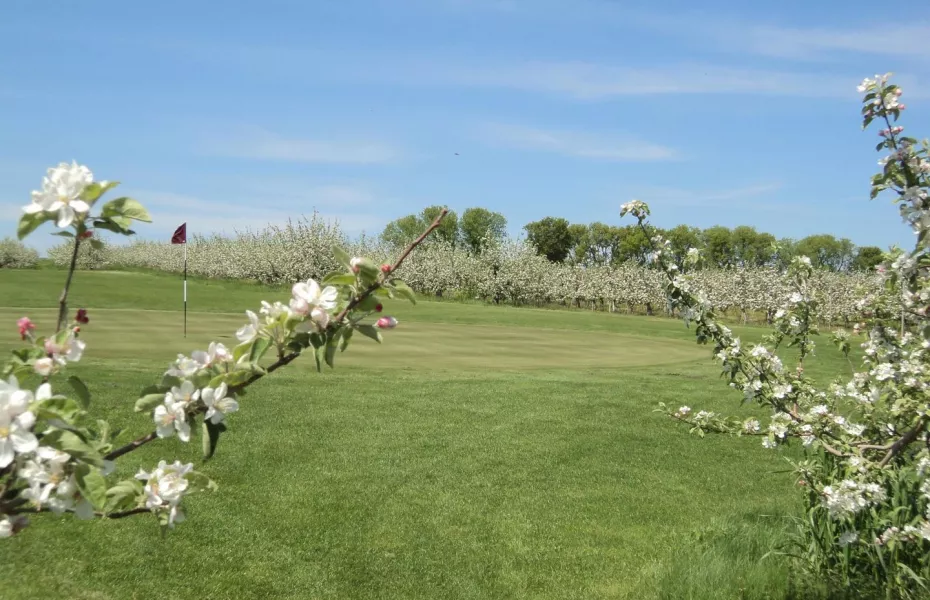 Cider House Golf