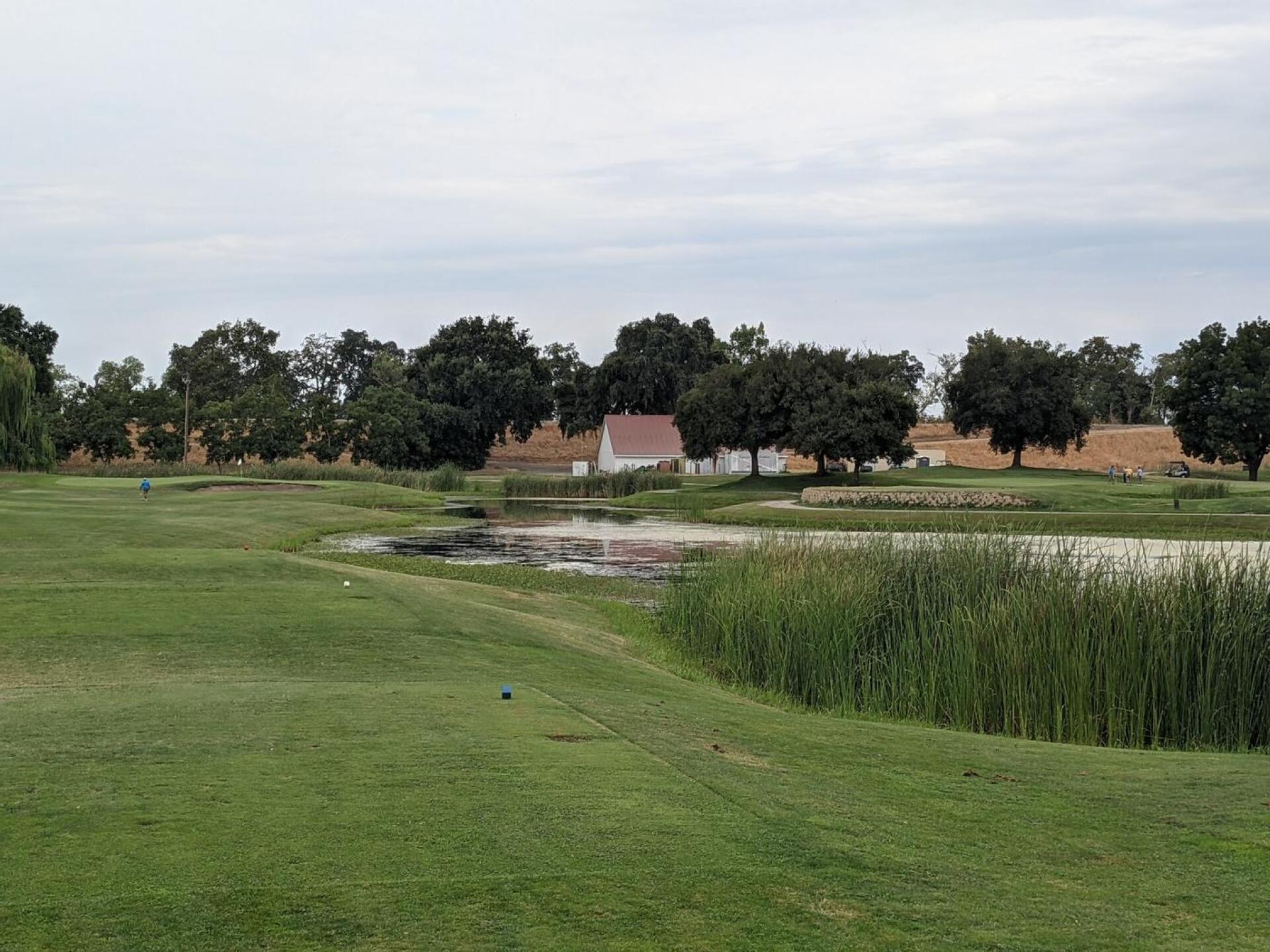 (Photo submitted by linz4ucla on 07/28/2021)