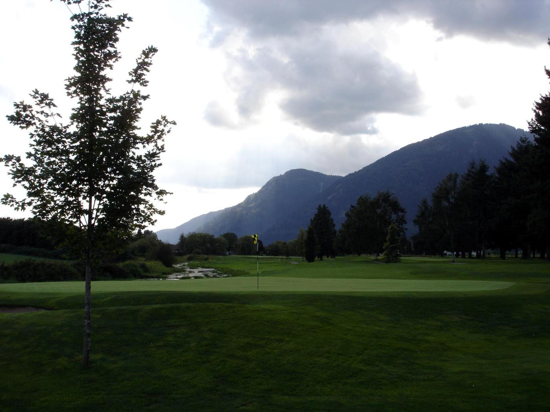 Chilliwack GC, Hole 12, Par 3, 193 yds (Photo submitted by DYakimec on 12/29/2017)