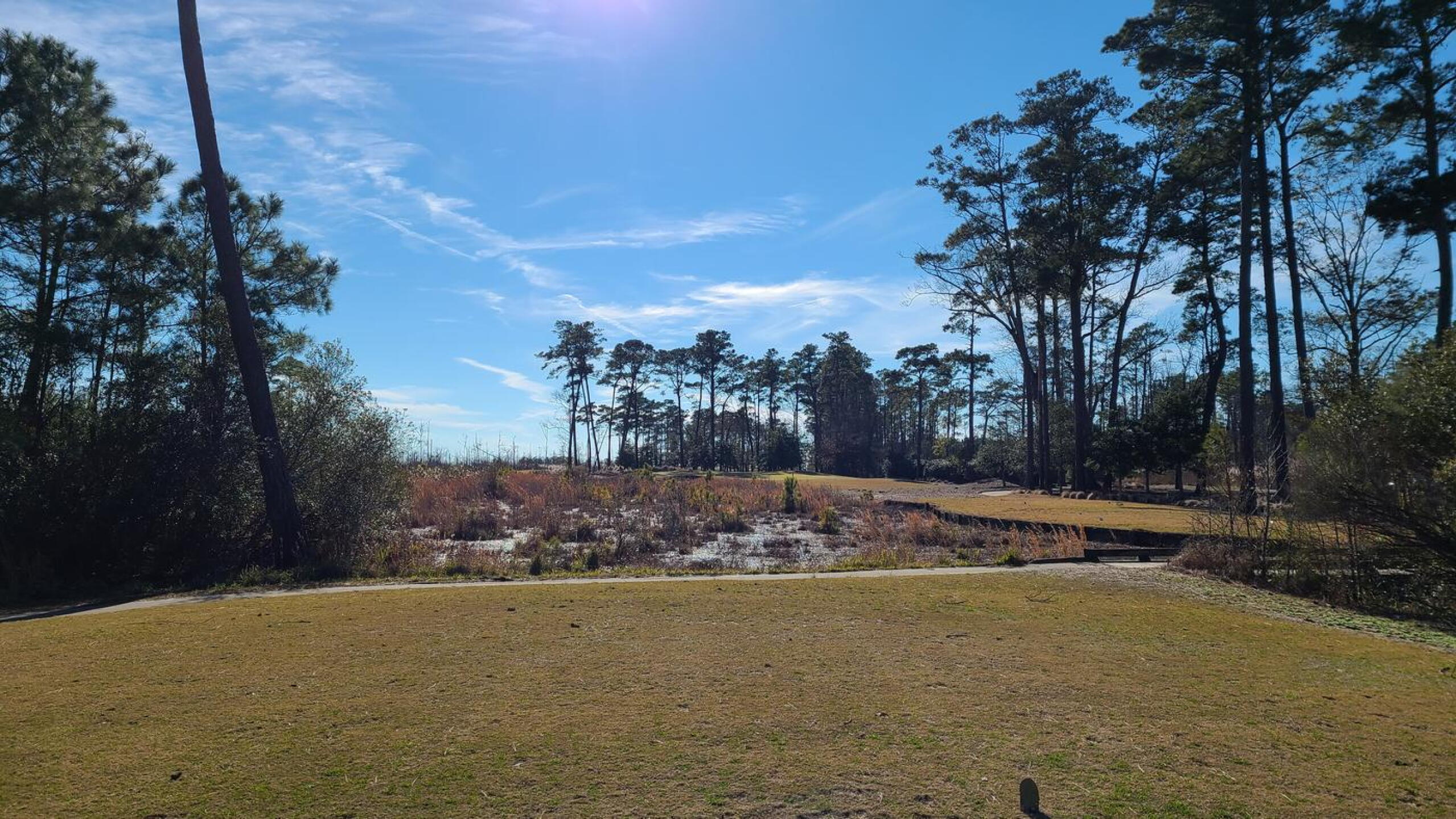 (Photo submitted by inwien on 01/17/2021)