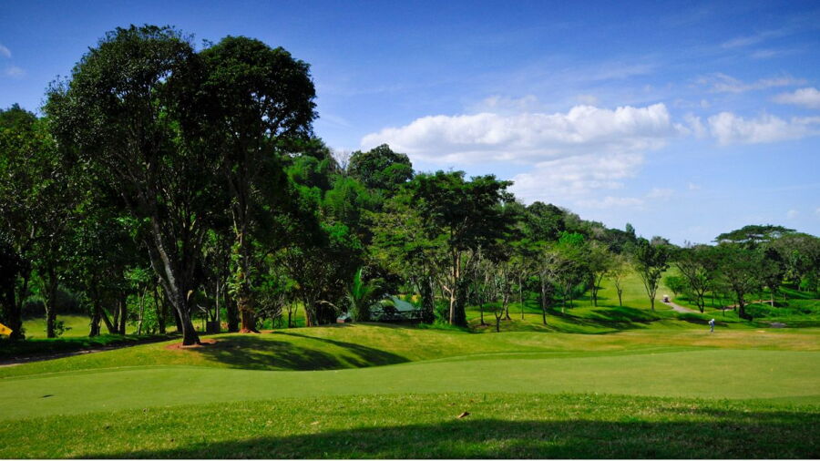 Forest Hills GCC