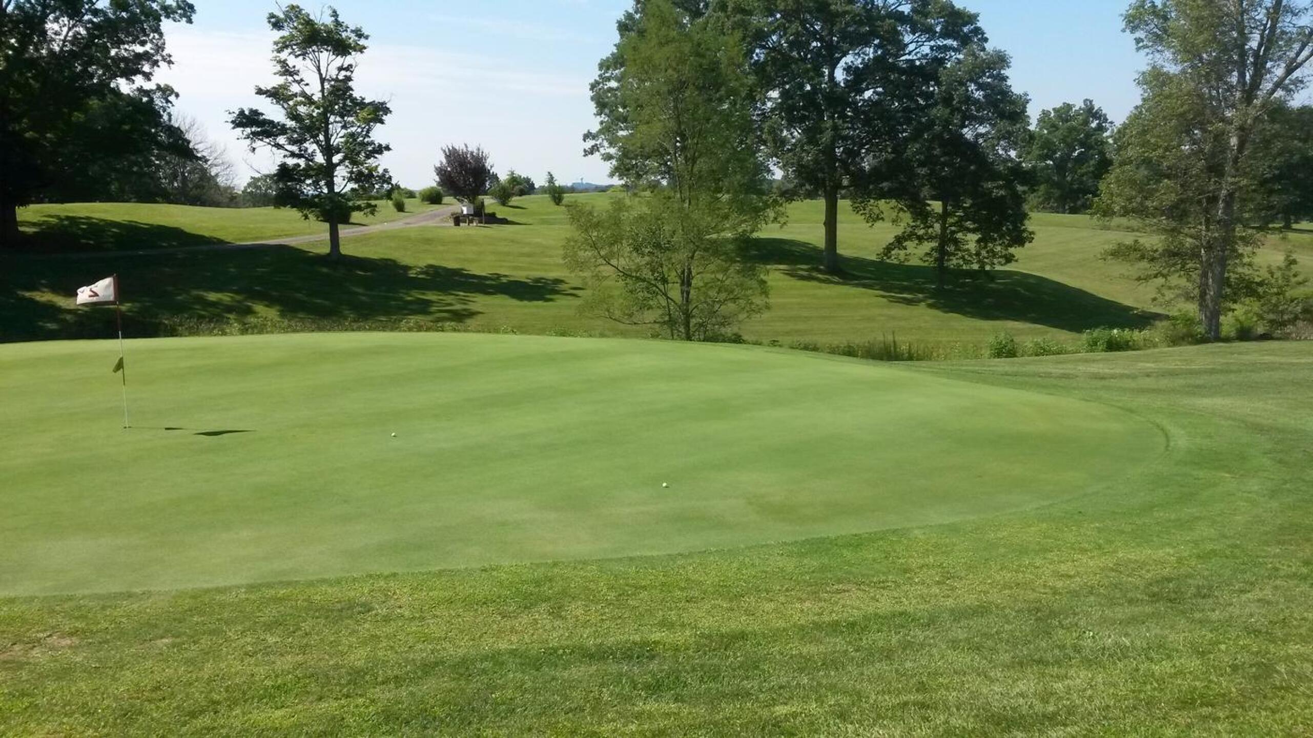 #1 Green Elevated Beware (Photo submitted by Russell6471525 on 09/07/2017)