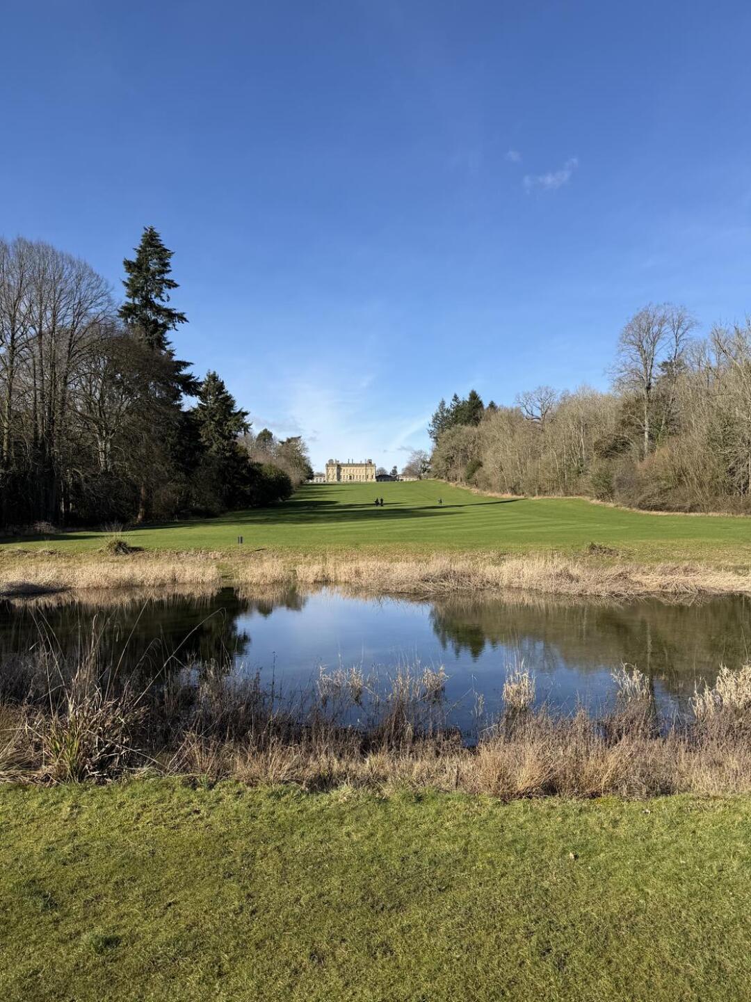 (Photo submitted by Noops on 02/15/2026)