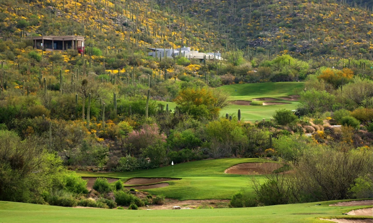 Arizona National Golf Club in Tucson