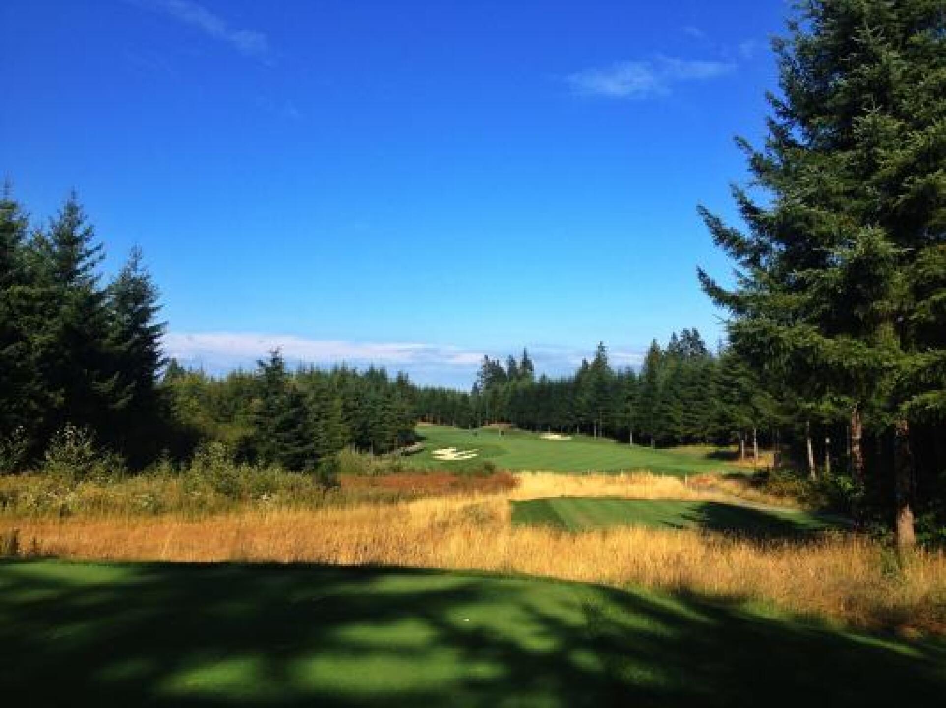 Beautiful Track (Photo submitted by Spencer3502694 on 08/13/2013)