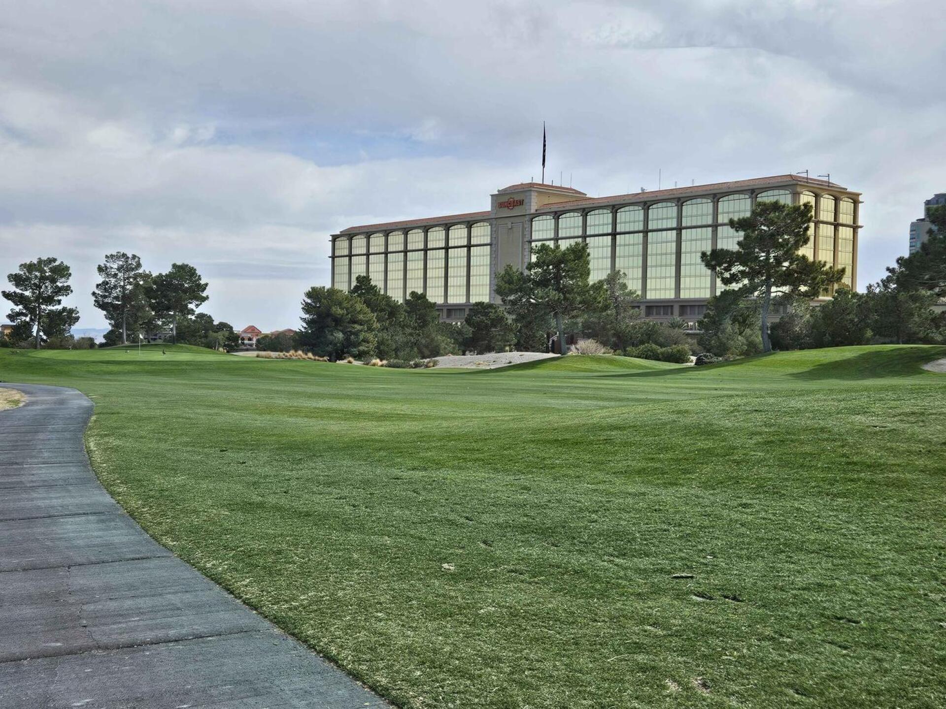 (Photo submitted by u314161622535 on 03/01/2025)