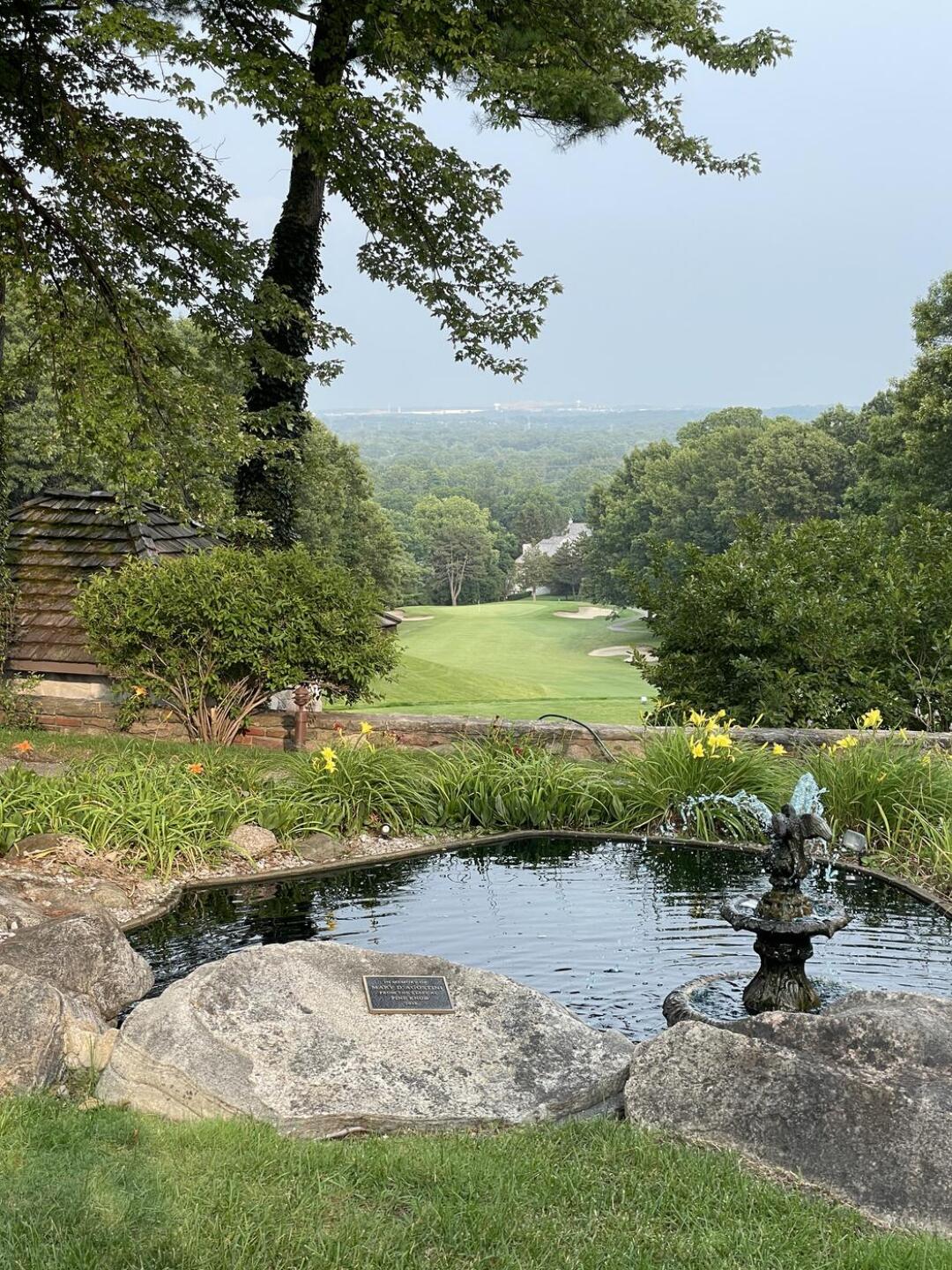 Eagle #1 (Photo submitted by jeffawelsh on 08/24/2025)