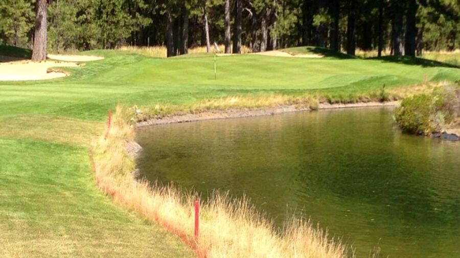 Widgi Creek #17