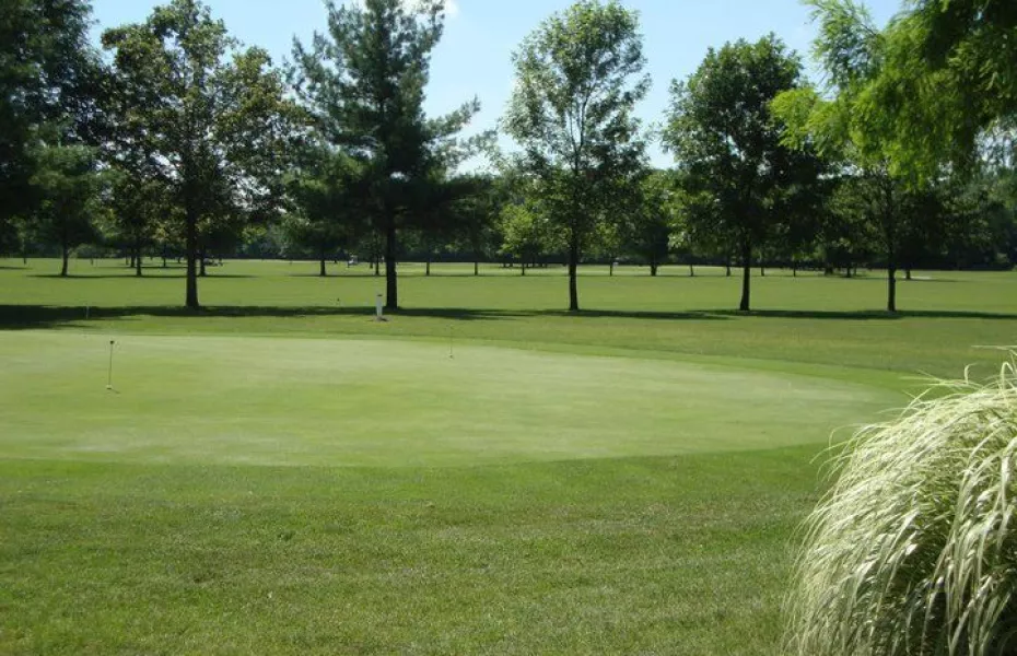 Cypress Run GC: practice area
