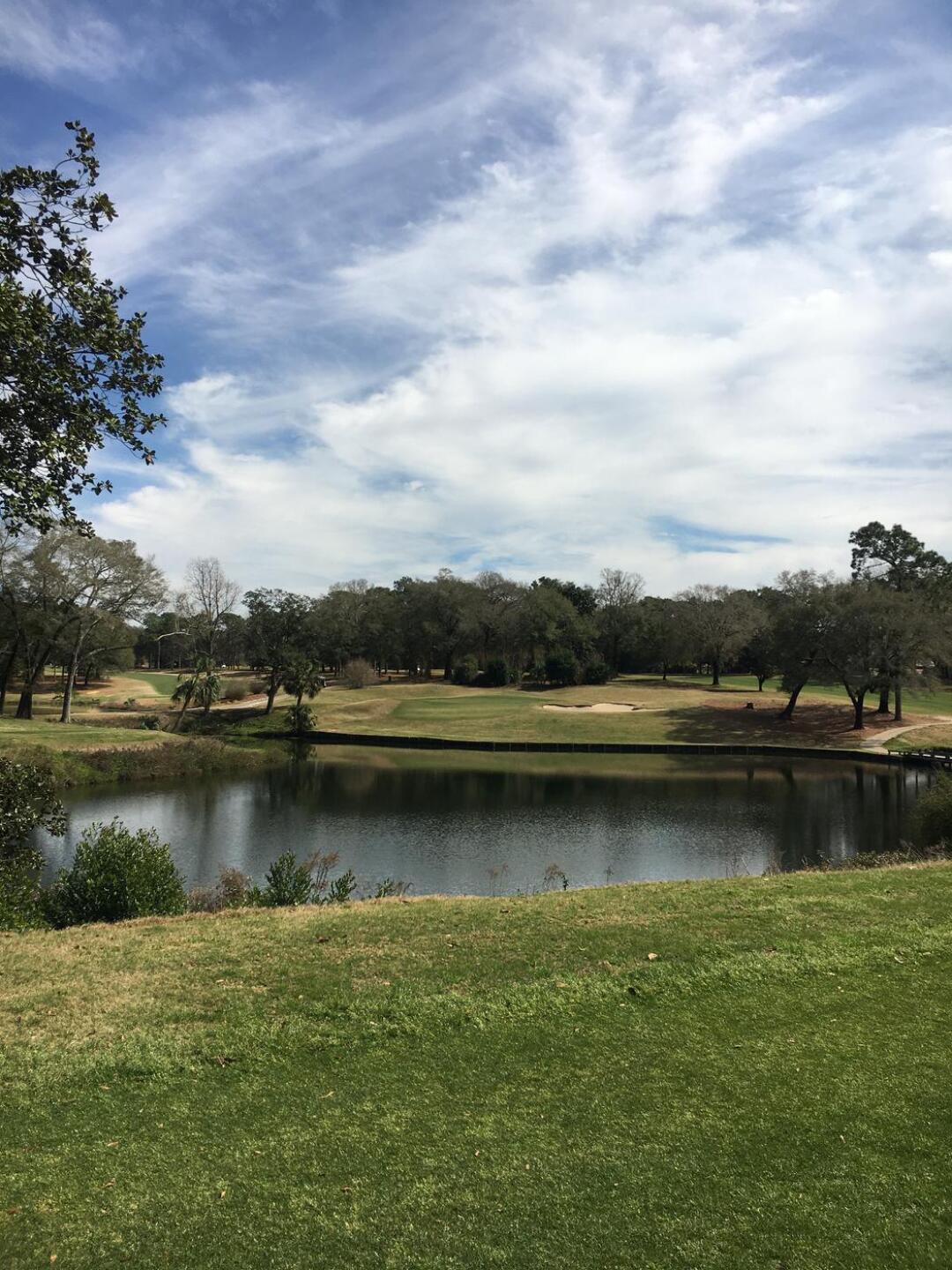 (Photo submitted by tjburgi3 on 03/04/2022)