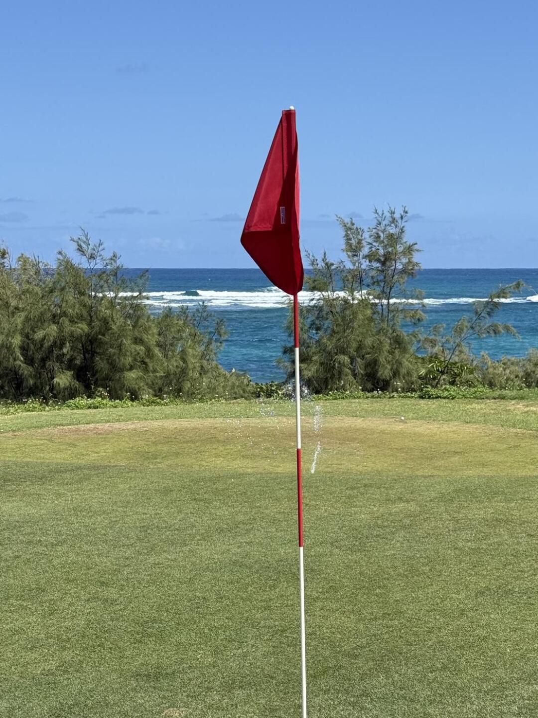 (Photo submitted by 2NuFSYDcN3QqLKyQk6Zw on 06/10/2025)