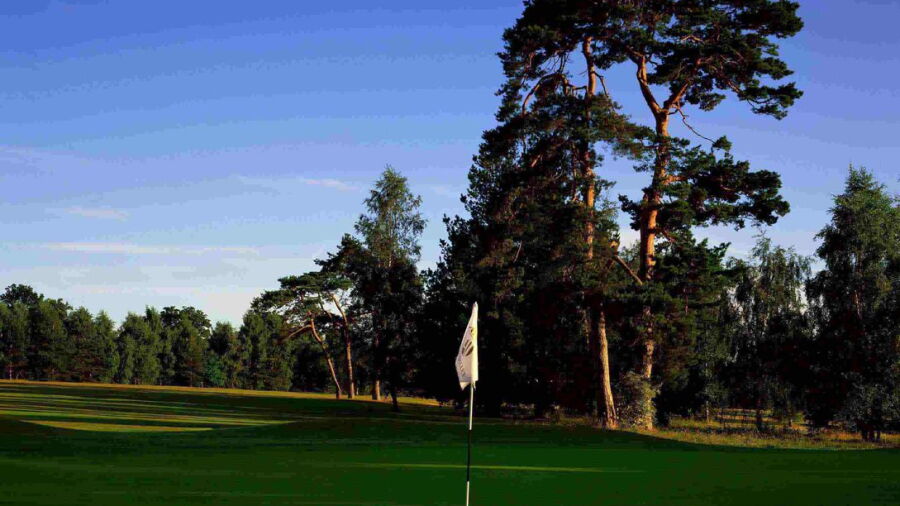 Meon Course at Meon Valley: #15