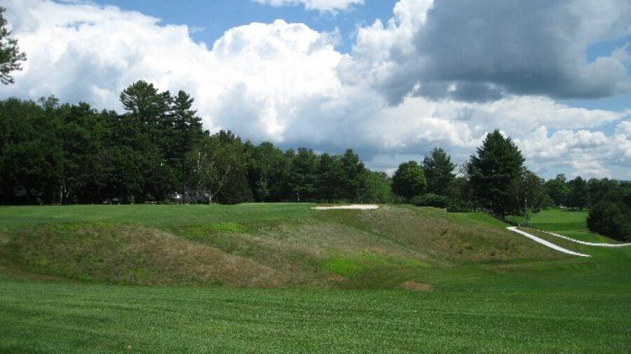 Dorset Field Club: #8