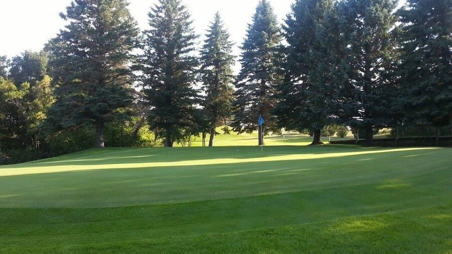 Cavalier CC: #9