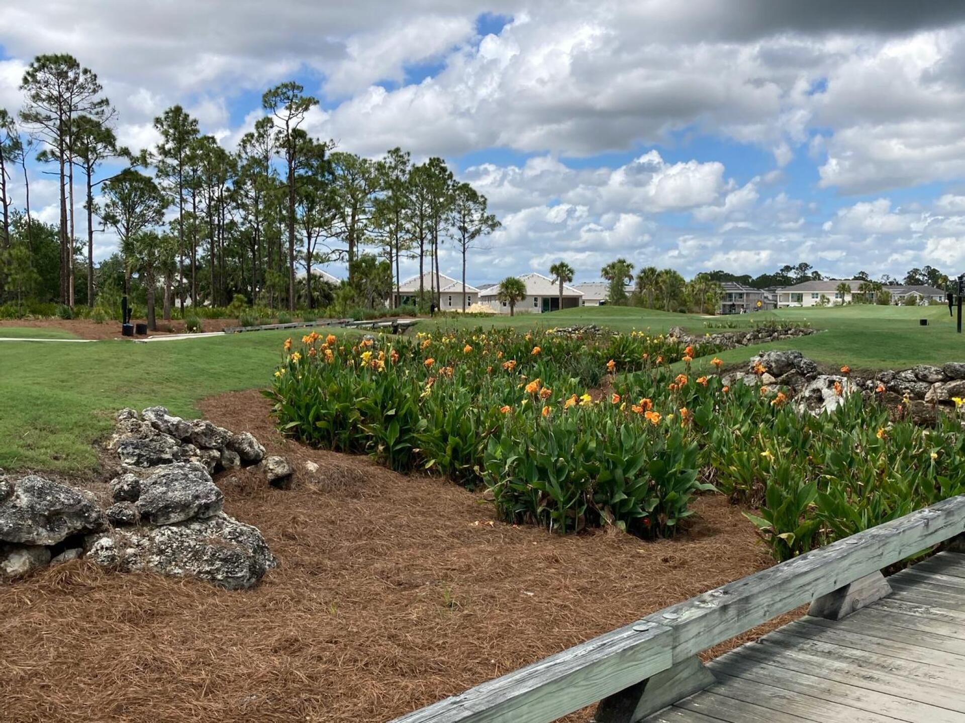 (Photo submitted by u9680216 on 04/11/2023)