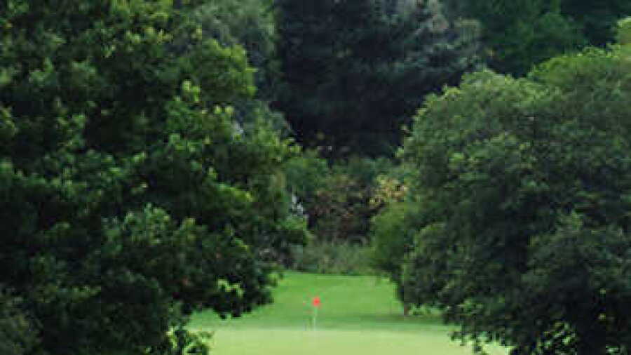 Swanmore GC: #6