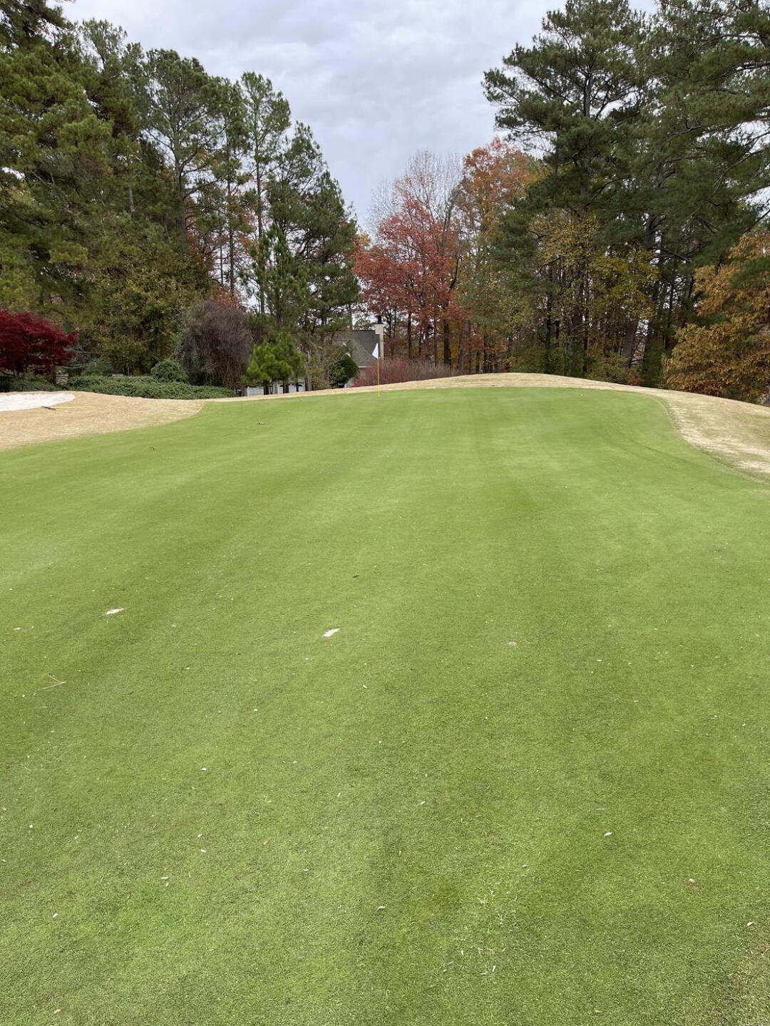 No. 9 Green (Photo submitted by jking6855 on 11/27/2022)