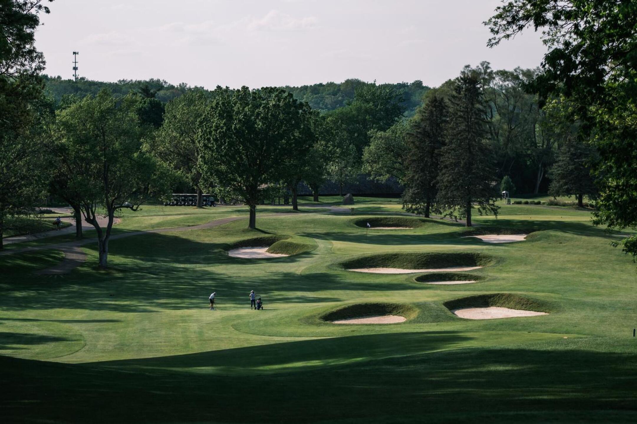 9 (Photo submitted by noahjurik on 05/27/2021)