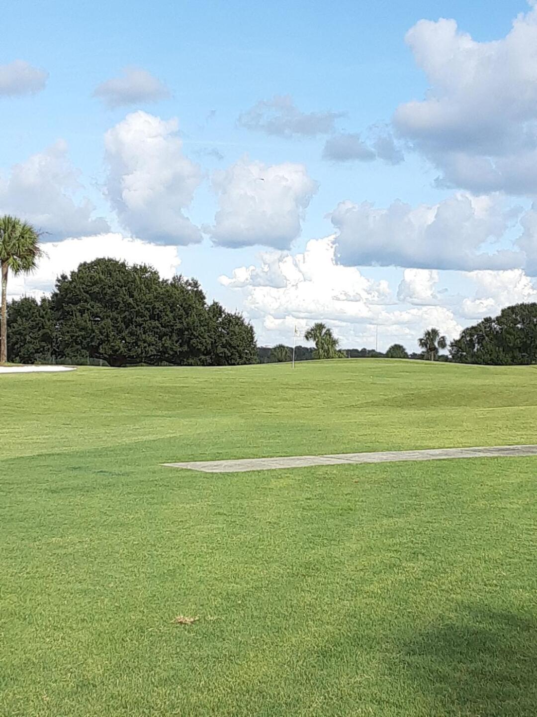 (Photo submitted by Baldybrown2 on 11/08/2019)