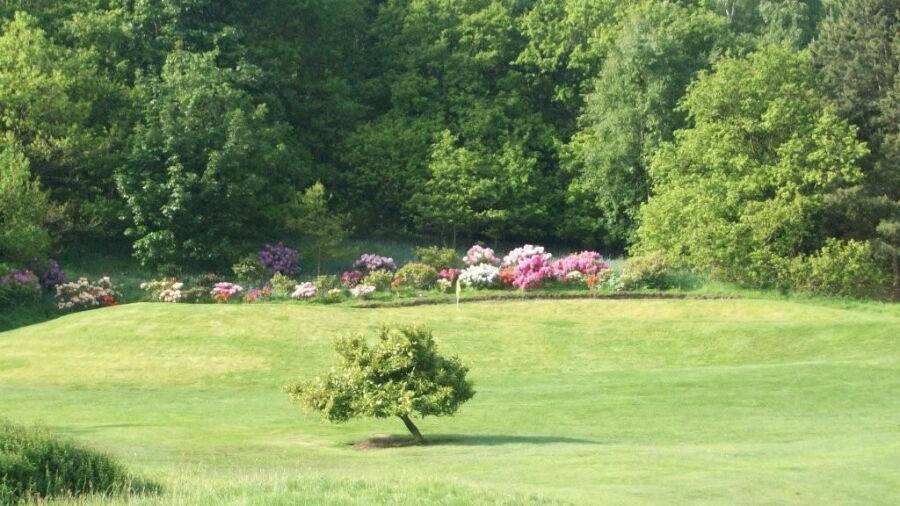 Otley GC