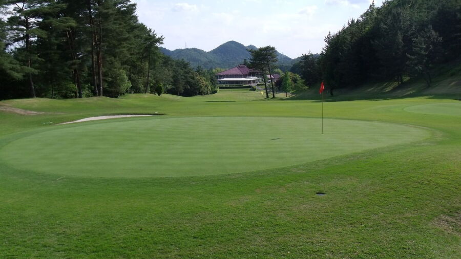 Ibuka Forest CC