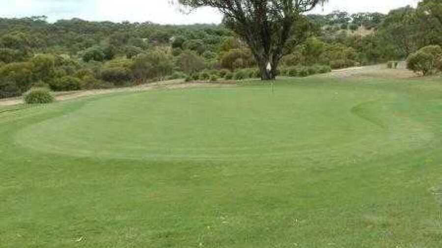 Thaxted Park GC: #11