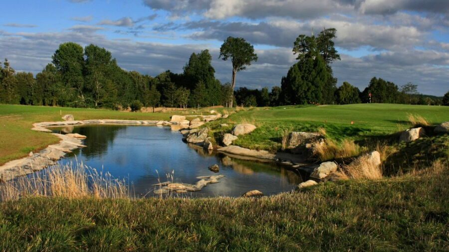 Patagonia Virgin GC