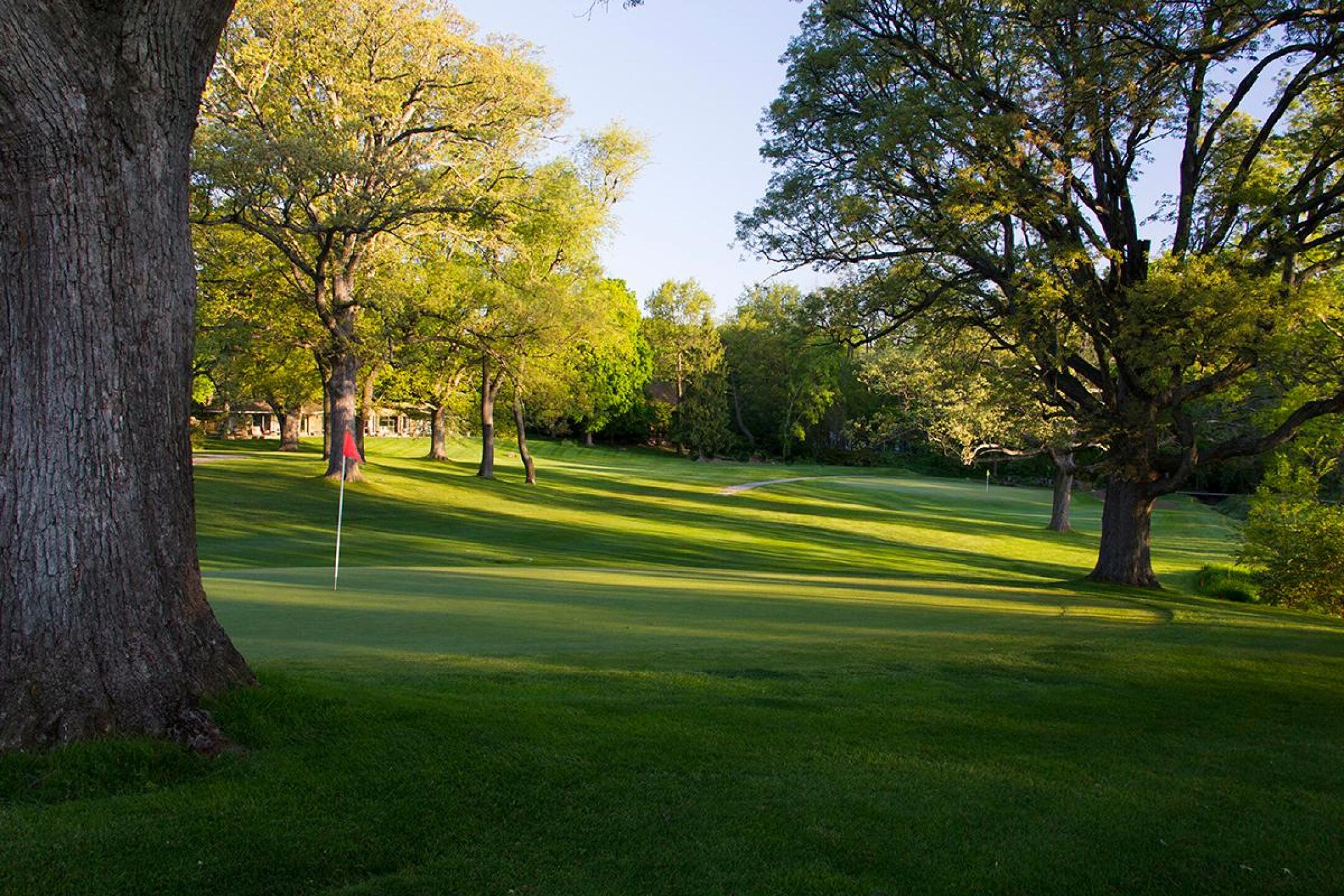 Big oak trees guarding hole 11, also looking at hole 10. (Photo submitted by dthyland on 06/05/2016)
