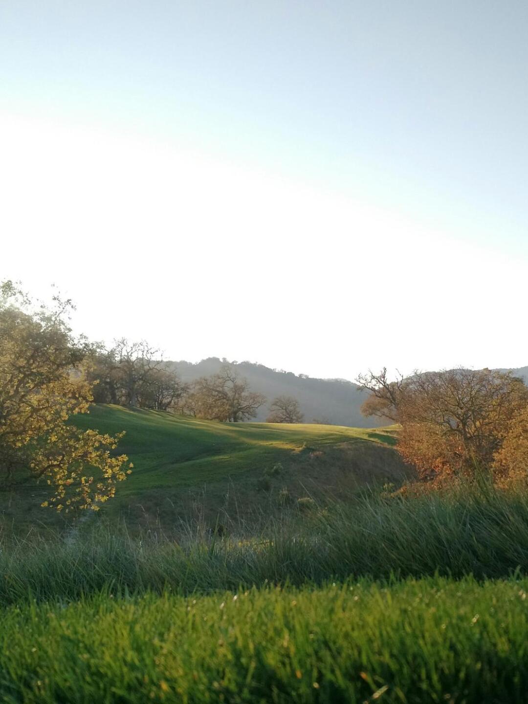 17th Tee (Photo submitted by crankygolfer on 09/28/2016)