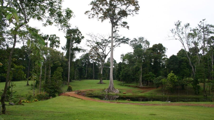 Kribi GCC