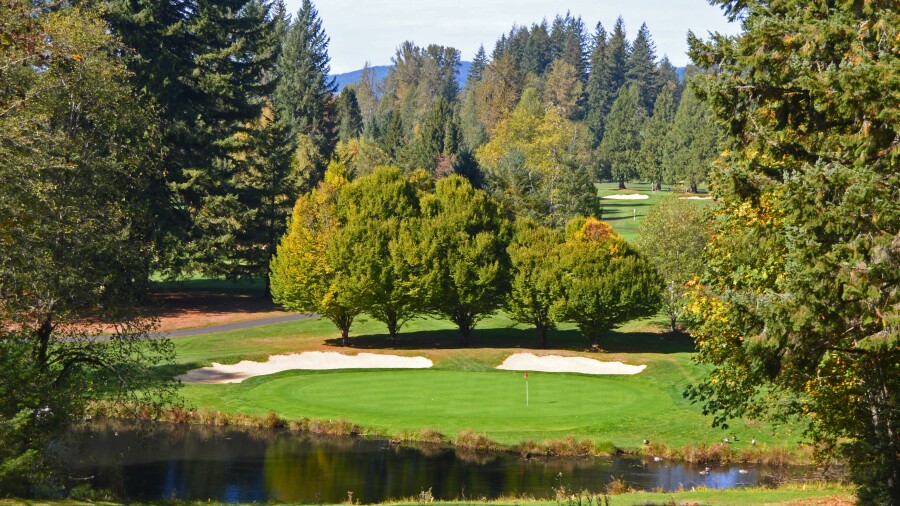 Resort at the Mountain - Pine Cone - no. 3